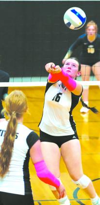 DVE junior Ingrid Myrdal prepares to send the ball over the net. Photo by Larry Stokke.