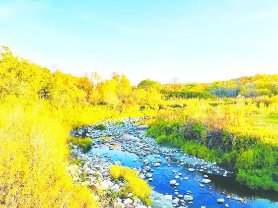 Fall colors