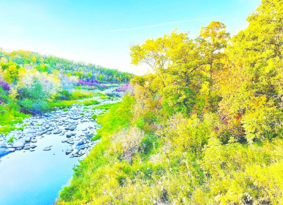 The Pembina Gorge State Recreation area said the chilly nights this past week are helping the colors change fast. As of Monday, Oct. 3, fall foliage was at 75-100%. There are 480 species of vascular plants in the Gorge. These photos are taken throughout the Pembina Gorge by Devi Engelstad.