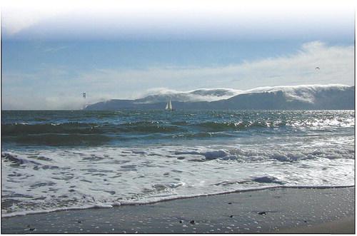 Fog bank on the Golden Gate. Photo by Clint Van Camp