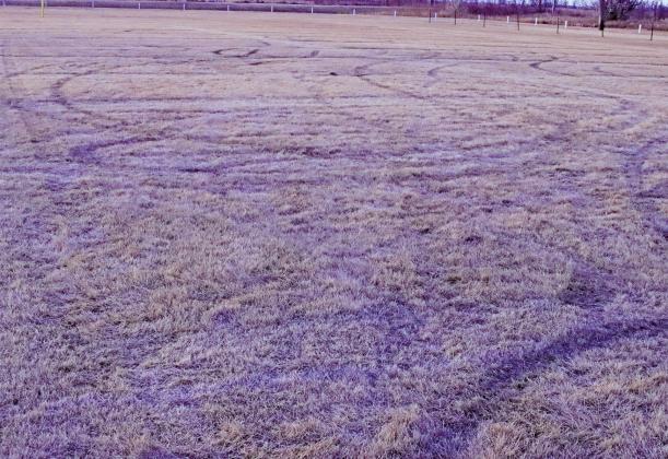Pictured above are the tracks left by the joy riders who tore up the football field over the weekend. VNV Photo by Lesa Van Camp