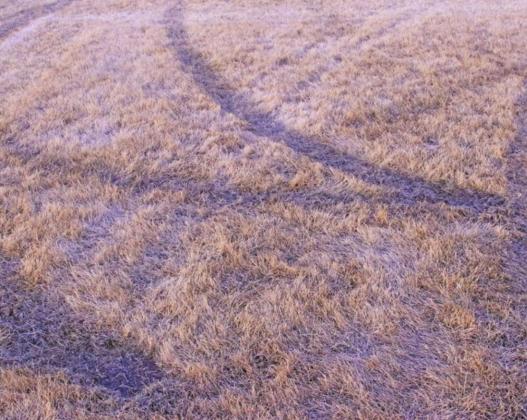A closer look at the ruts left behind by the vandals. VNV Photo by Lesa Van Camp