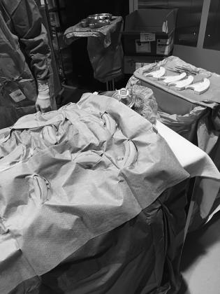 A life like dummy and some split open bananas were used to demonstrate suturing. Students got to try sutures hands on. Submitted photo.
