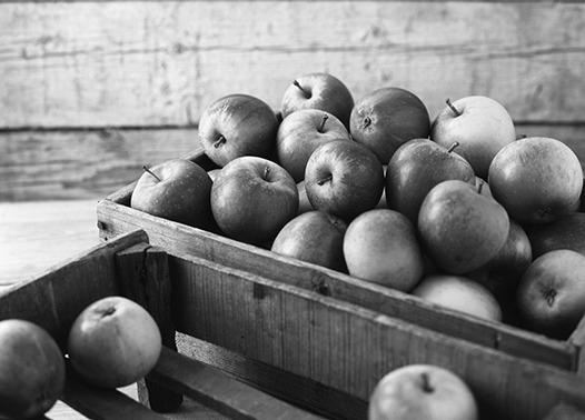 Eating apples may decrease our risk for heart disease and certain types of cancer, and it may help improve lung function.