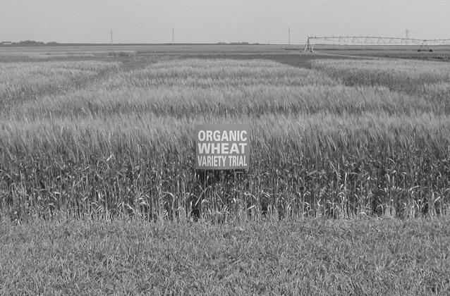 Organic/sustainable agriculture tour set at NDSU’s