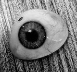 An Eclectic Editor: The editor’s new eye - Part 2