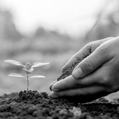 If you did not grow up gardening, consider learning something new. (Pixabay photo)