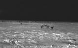 Although dark, De Souza says he and his family saw at least 100 deer last Wednesday night.