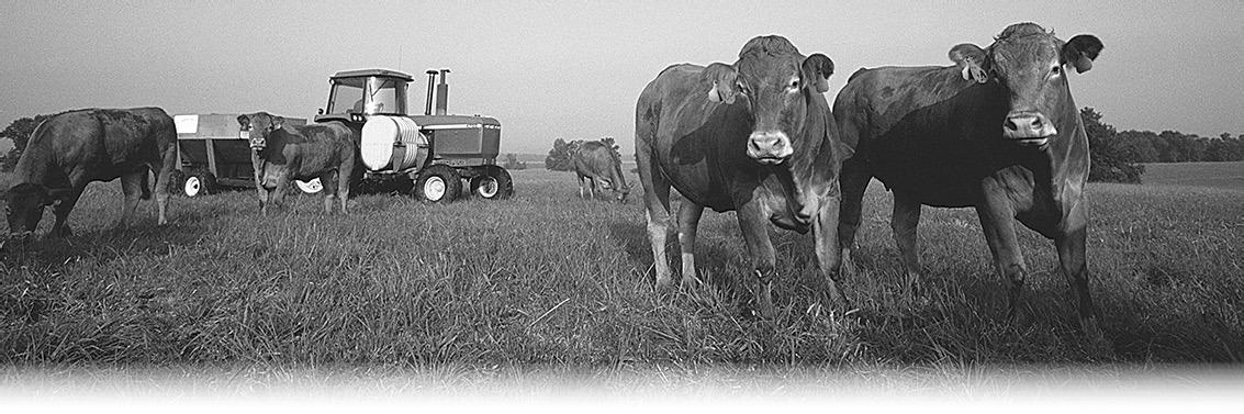 Preserve your grasslands