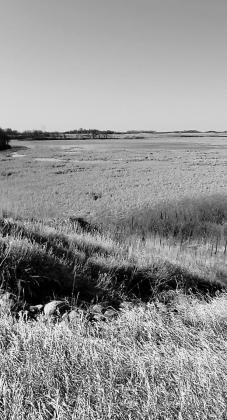 Wolf Lake