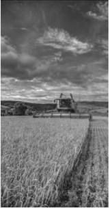 Tariffs affecting fertilizer costs