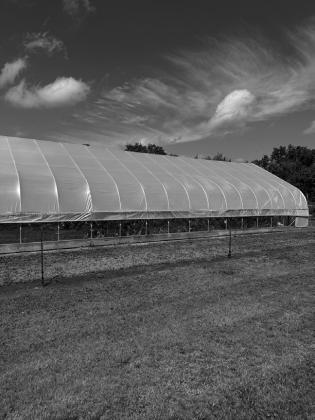 Fruit, vegetable and woody plants field day