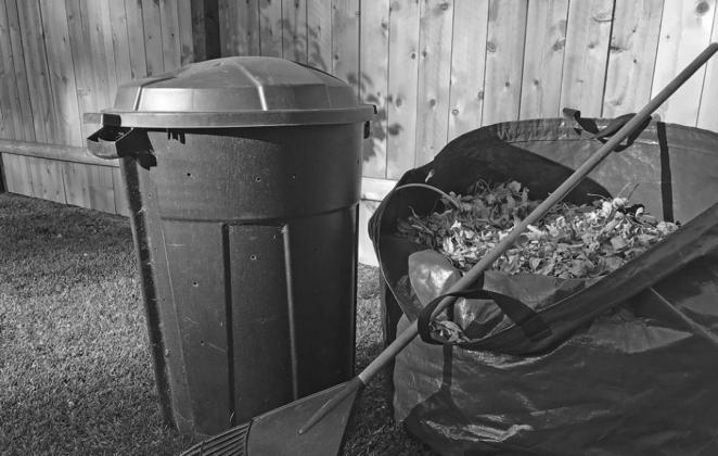 You can collect kitchen waste during the winter to compost during the summer. You can layer dead, dry leaves with your kitchen scraps to compost during the winter. (NDSU photo)