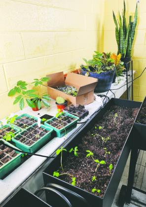 COMMUNITY ROOTS GRANT FOR NEW AG PROGRAM