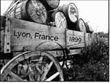 Photo by Duane H.H. Lyon.