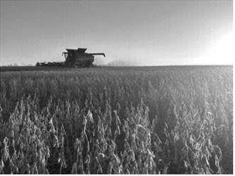 Rooted in agriculture on both sides of the border