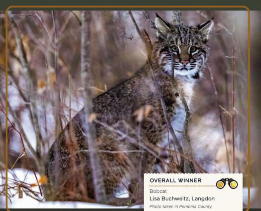 Buchweitz wins two photography awards