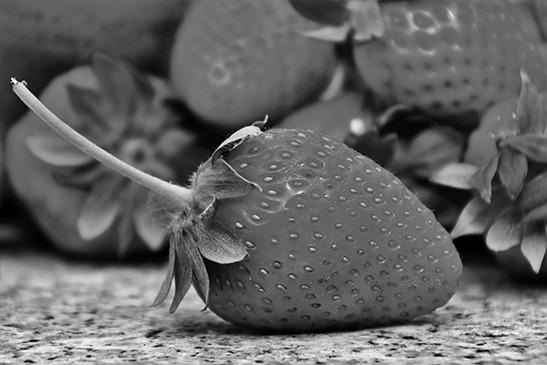 Backyard berries have incredible flavor. (Pixabay photo)