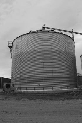 Be proactive against mold growth in grain storage by monitoring temperature and moisture. (NDSU photo)
