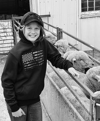 Webinar participants will learn tips for starting to raise sheep or goats. NDSU photo.