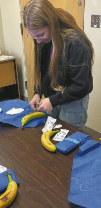 Kennedy Osowski practices suturing a banana during Scrubs Camp. Submitted photo.