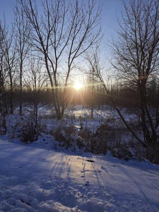 Photo of a frosty morning in the woods last week by Christine Jensen.