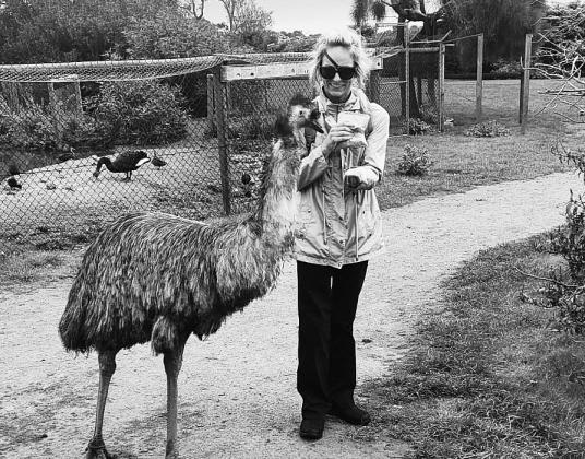 Everything’s All-Right: Especially when you get to feed the roos