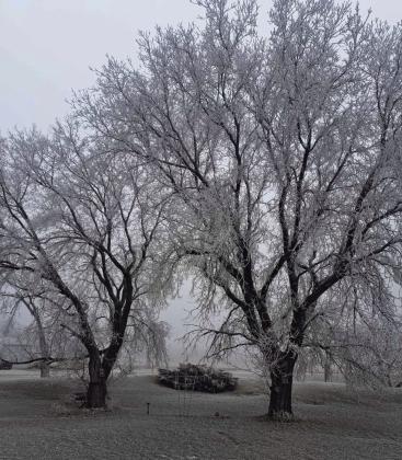Unseasonably warm weather creates ice