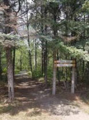 Frost Fire Park Mountain Bike Trail System ‘Demolished’