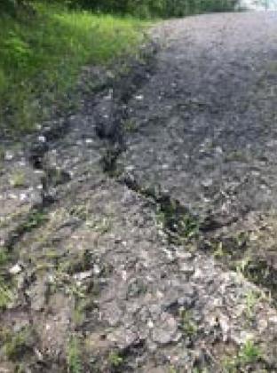 Frost Fire Park Mountain Bike Trail System ‘Demolished’