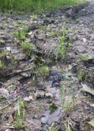 Frost Fire Park Mountain Bike Trail System ‘Demolished’