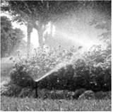Alt Text for Image