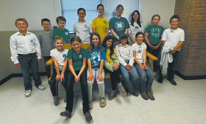 Pembina County 4-H’ers participate in communication art event