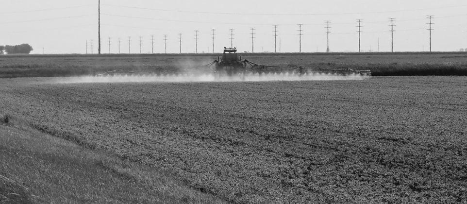 Chlorpyrifos insecticide products legal for insect control in 2024