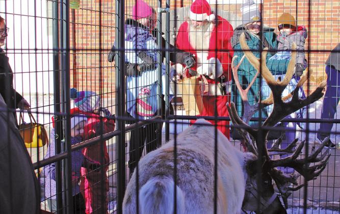 Santa handed out treats to the children who were at the H. G. Johnson Hall to see the reindeer from Reindeer Ranch owned by the Vernon Hoselton Family. Olaf is the reindeer that is pictured, Olaf had Rosie and Gertie with him on Saturday. VNV Photo by Lesa Van Camp