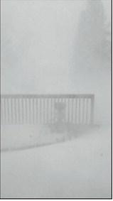 Lisa Staskivige shared this photo of white-out conditions at her home.