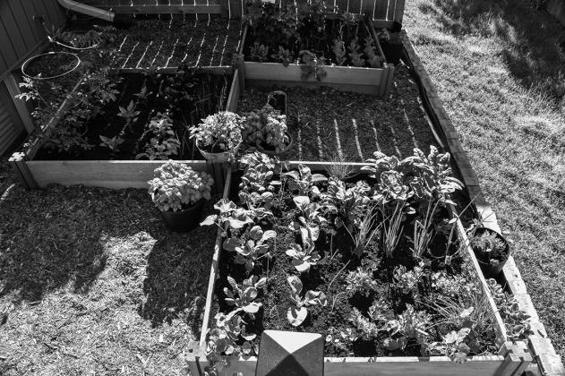 Preplanning your garden layout and using alternative layouts instead of traditional rows can help your plants flourish.
