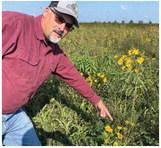Zac Browning points out a native bee foraging for food in the 30 acres of forage planted by Bee and Butterfly Habitat Fund to increase food availability for honeybees and other pollinators. Both the honeybee mix and the Monarch butterfly mix of flowers attract other native bees. Photo Michael Standaert.