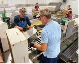 Employees at Browning Honey sort and process honey to remove wax, impurities and other debris before it goes through further refining processes. Photo Michael Standaert.