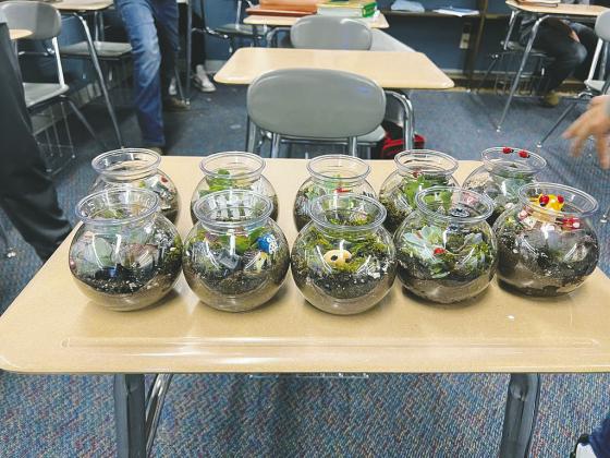 DRAYTON AG CLASS completes terrarium project
