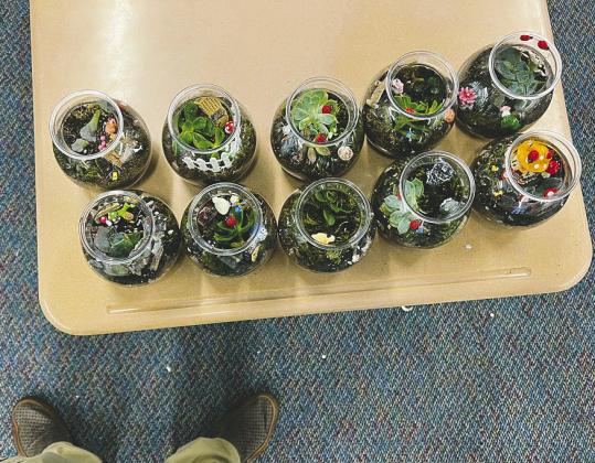 When Valley News &amp;amp; Views stopped by Mr. Riddle’s room last week to chat about the school’s new ag program, he said he and one of his classes were anxiously awaiting the arrival of fishbowls. These bowls were needed to start on their hands-on project, building terrariums. The fish bowls arrived and we are happy to be able to show you the finished class projects.