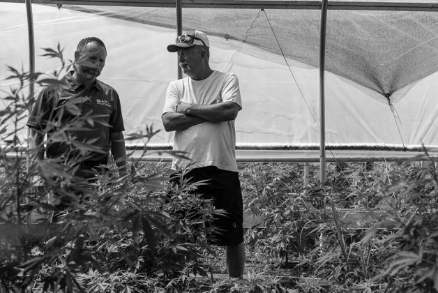 Jeff Garland, right, gives a tour of Papa G’s Organic Hemp Farm in Crawford County, Indiana, on June 23, 2022. Jeff and his son started the farm in 2020. At left is Lee Schnell of the U.S. Natural Resources Conservation Service, which is part of the U.S. Department of Agriculture. (NRCS photo by Brandon O’Connor)
