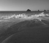Goat Rock Beach in California. Photo by Clint Van Camp.