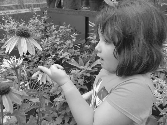 A pollinator garden that attracts butterflies and bees can create a sense of wonder and connect youth with nature. NDSU photo.