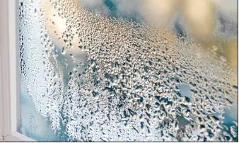 Should I Be Worried About That Condensation on My Windows?