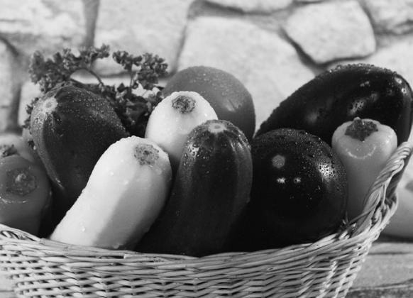 Prairie Fare: Is that a zucchini on my porch?
