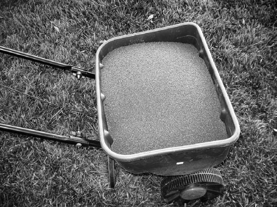 A winterizer fertilizer has the nitrogen your lawn needs and a boost of potash to prepare the lawn for winter. NDSU photo.