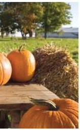 The Rendezvous Region Tourism Council Presents: The Inaugural Annual Rendezvous Event