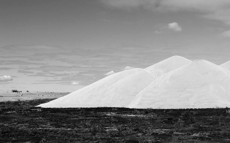 Grain placed in piles needs to stay dry and cool. Photo by Brad Smith