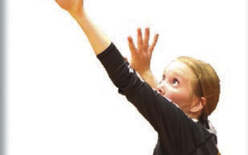 2023 bombers bring back glory days